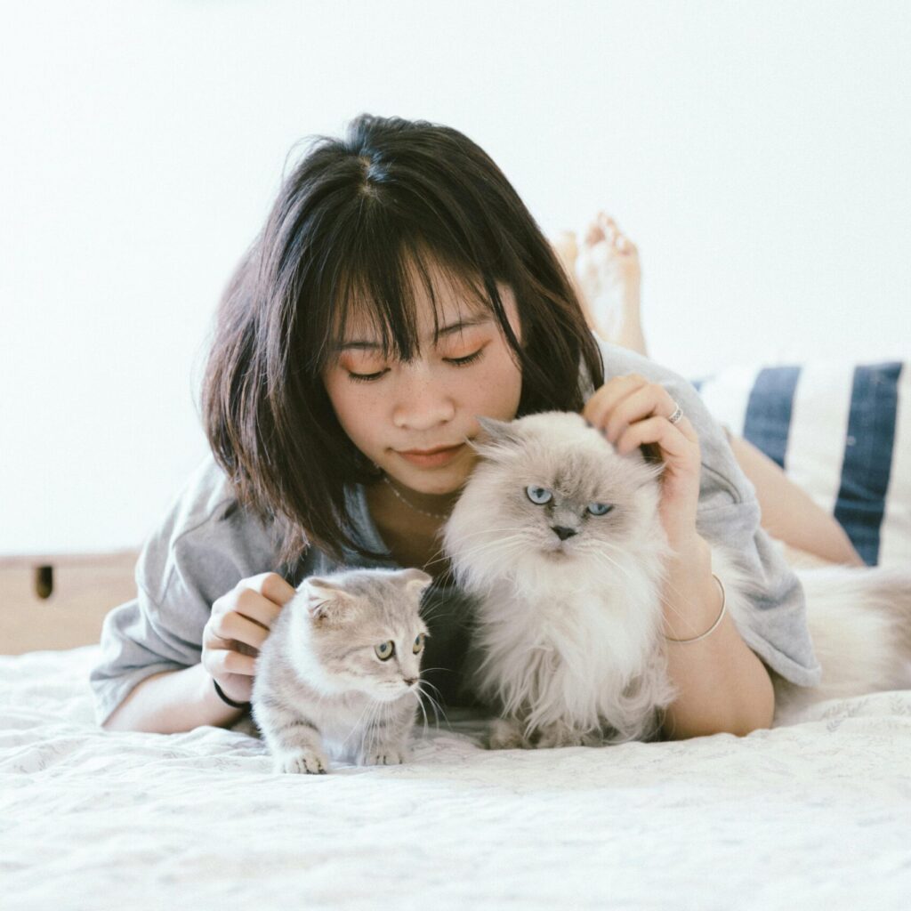 Young Asian woman relaxing on a bed with two fluffy cats in a cozy bedroom.